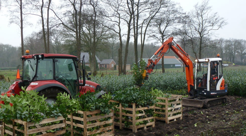 Kies voor groen in uw tuin